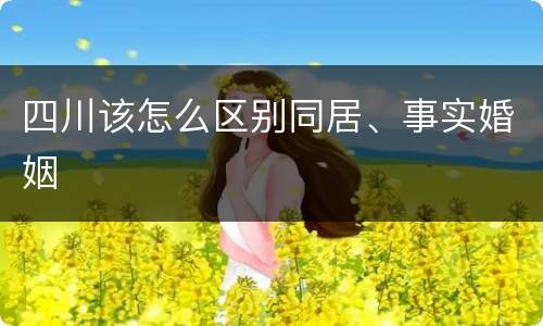 四川该怎么区别同居、事实婚姻