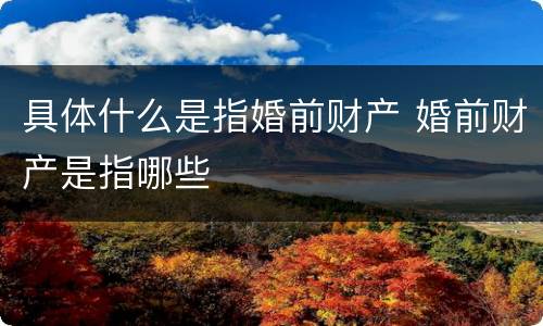 具体什么是指婚前财产 婚前财产是指哪些