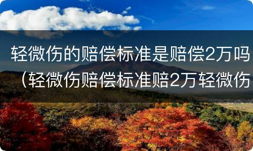 轻微伤的赔偿标准是赔偿2万吗（轻微伤赔偿标准赔2万轻微伤）