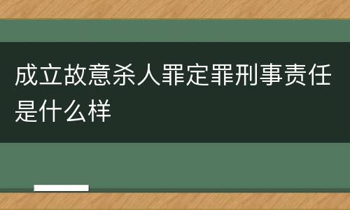 成立故意杀人罪定罪刑事责任是什么样