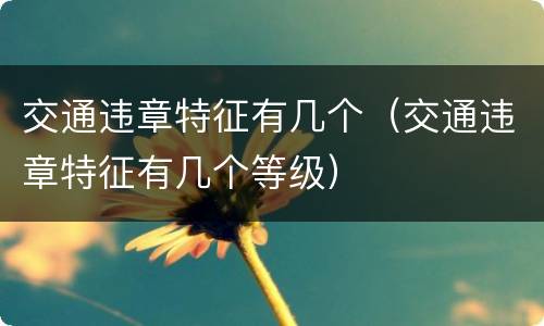 交通违章特征有几个（交通违章特征有几个等级）