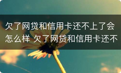 欠了网贷和信用卡还不上了会怎么样 欠了网贷和信用卡还不起了怎么办