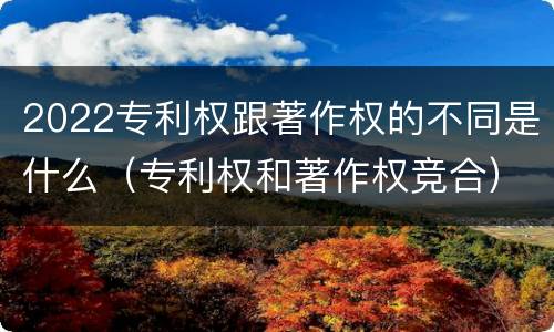2022专利权跟著作权的不同是什么（专利权和著作权竞合）