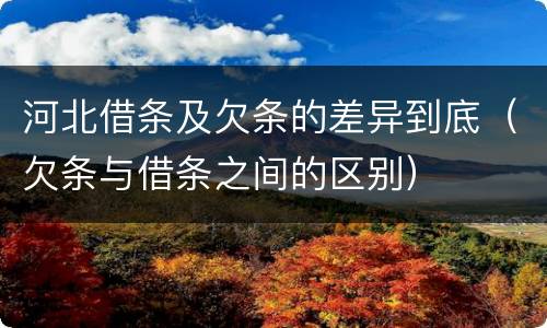 河北借条及欠条的差异到底（欠条与借条之间的区别）