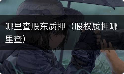 哪里查股东质押（股权质押哪里查）