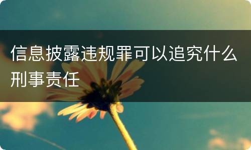 信息披露违规罪可以追究什么刑事责任