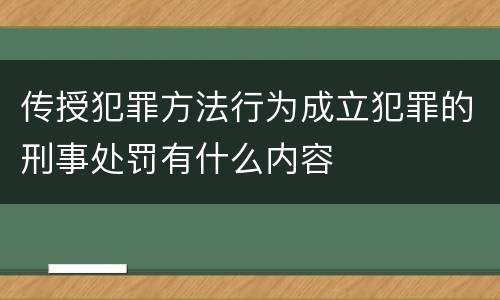 传授犯罪方法行为成立犯罪的刑事处罚有什么内容