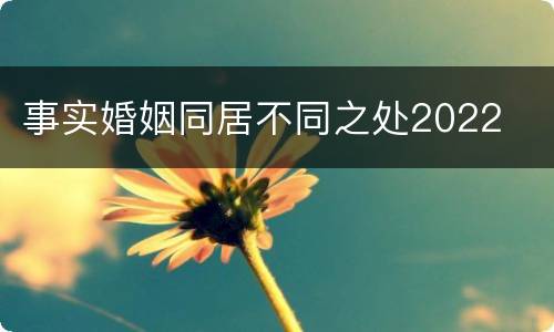 事实婚姻同居不同之处2022