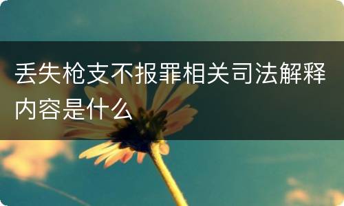 丢失枪支不报罪相关司法解释内容是什么