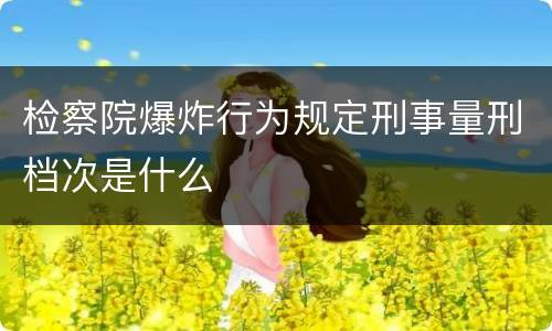 检察院爆炸行为规定刑事量刑档次是什么