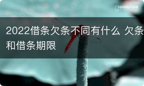 2022借条欠条不同有什么 欠条和借条期限