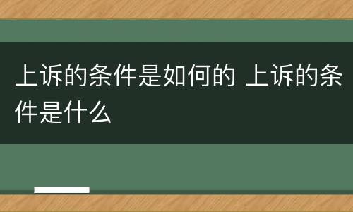 上诉的条件是如何的 上诉的条件是什么