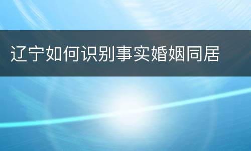 辽宁如何识别事实婚姻同居