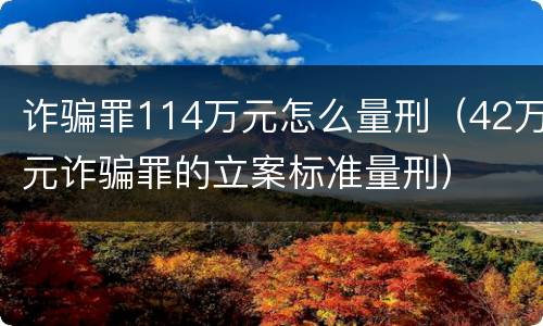 诈骗罪114万元怎么量刑（42万元诈骗罪的立案标准量刑）