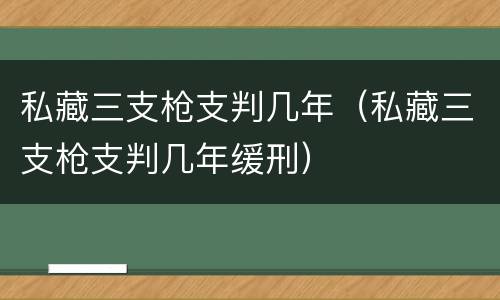 私藏三支枪支判几年（私藏三支枪支判几年缓刑）