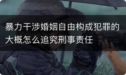 暴力干涉婚姻自由构成犯罪的大概怎么追究刑事责任