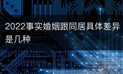 2022事实婚姻跟同居具体差异是几种