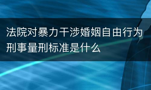 法院对暴力干涉婚姻自由行为刑事量刑标准是什么