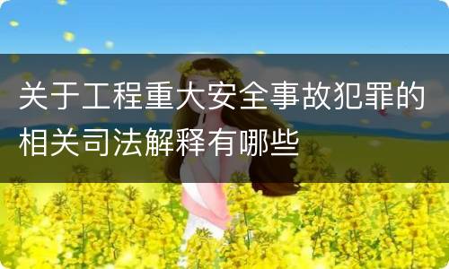 关于工程重大安全事故犯罪的相关司法解释有哪些