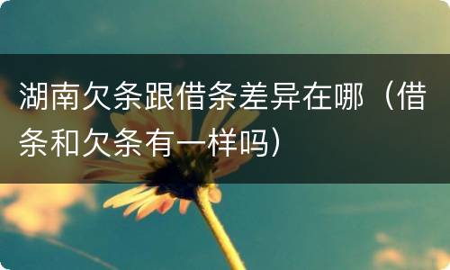 湖南欠条跟借条差异在哪（借条和欠条有一样吗）