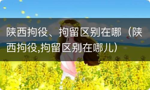 陕西拘役、拘留区别在哪（陕西拘役,拘留区别在哪儿）