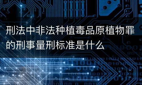 刑法中非法种植毒品原植物罪的刑事量刑标准是什么