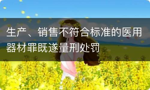生产、销售不符合标准的医用器材罪既遂量刑处罚
