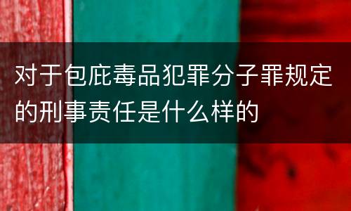 对于包庇毒品犯罪分子罪规定的刑事责任是什么样的