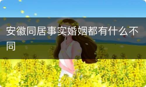 安徽同居事实婚姻都有什么不同