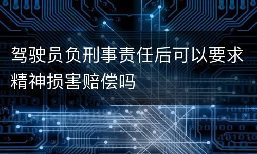 驾驶员负刑事责任后可以要求精神损害赔偿吗