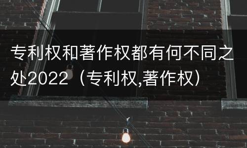 专利权和著作权都有何不同之处2022（专利权,著作权）