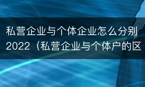 私营企业与个体企业怎么分别2022（私营企业与个体户的区别）