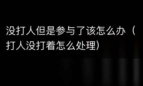 没打人但是参与了该怎么办（打人没打着怎么处理）