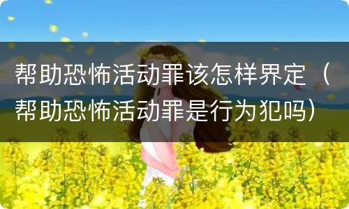 帮助恐怖活动罪该怎样界定（帮助恐怖活动罪是行为犯吗）
