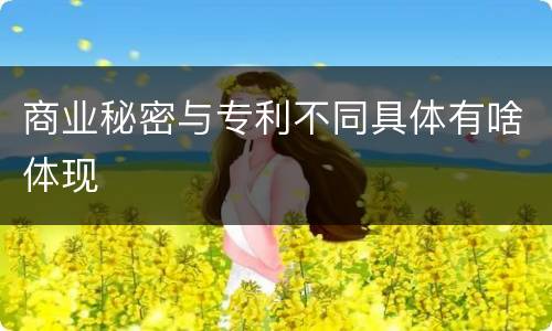 商业秘密与专利不同具体有啥体现