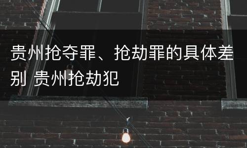 贵州抢夺罪、抢劫罪的具体差别 贵州抢劫犯