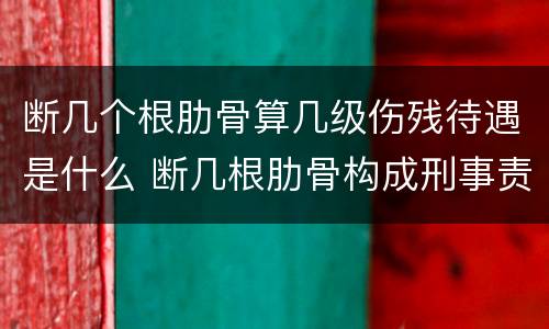 断几个根肋骨算几级伤残待遇是什么 断几根肋骨构成刑事责任