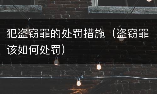 犯盗窃罪的处罚措施（盗窃罪该如何处罚）