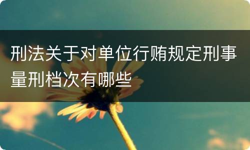 刑法关于对单位行贿规定刑事量刑档次有哪些