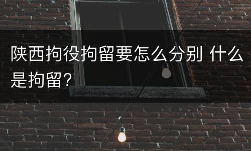 陕西拘役拘留要怎么分别 什么是拘留?
