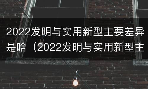 2022发明与实用新型主要差异是啥（2022发明与实用新型主要差异是啥呢）