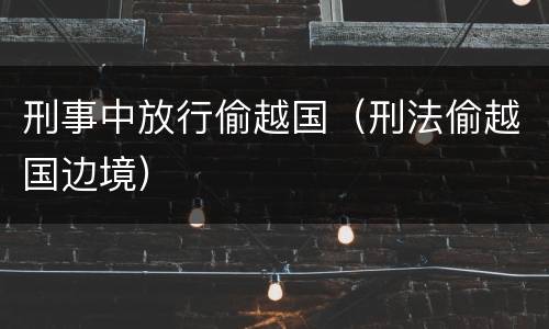 刑事中放行偷越国（刑法偷越国边境）