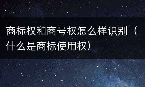 商标权和商号权怎么样识别（什么是商标使用权）