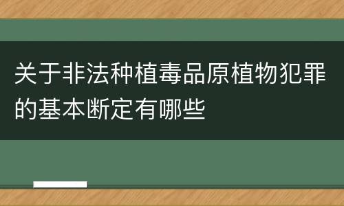 关于非法种植毒品原植物犯罪的基本断定有哪些