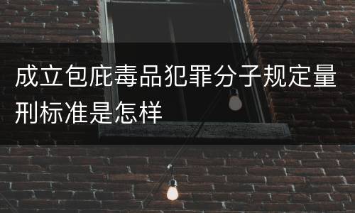 成立包庇毒品犯罪分子规定量刑标准是怎样
