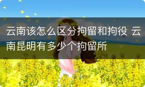 云南该怎么区分拘留和拘役 云南昆明有多少个拘留所