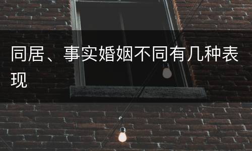 同居、事实婚姻不同有几种表现