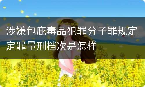 涉嫌包庇毒品犯罪分子罪规定定罪量刑档次是怎样