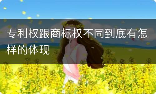 专利权跟商标权不同到底有怎样的体现