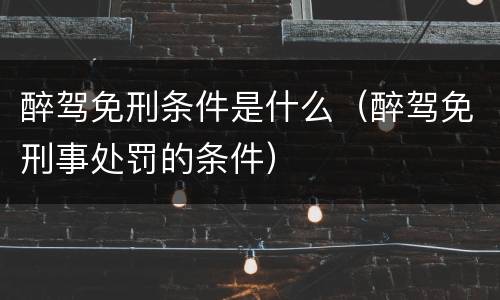 醉驾免刑条件是什么（醉驾免刑事处罚的条件）